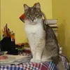 Отзыв от Виктория Нестерова